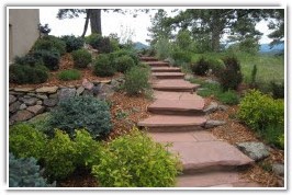 Entryways, Driveways, and Paths