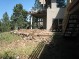 Wright Residence Back yard before
