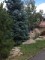 Wright Residence After